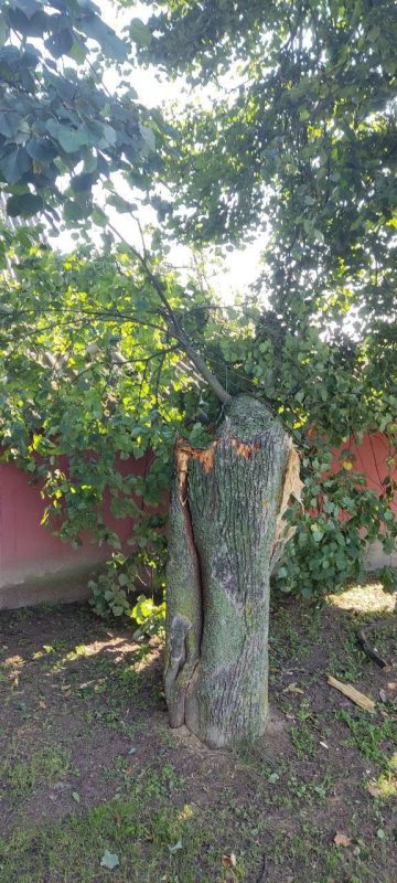 Буйство стихии затронуло Костюковичский район: последствия устраняются