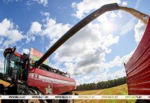 Сельхозорганизации Управления делами Президента более чем на 20% увеличили сбор зерна