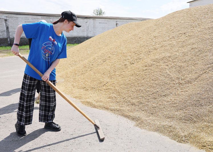 Горячая пора: студотрядовцы помогают аграриям в КСУП «Дуброва» Горячая пора: студотрядовцы помогают аграриям в КСУП «Дуброва»