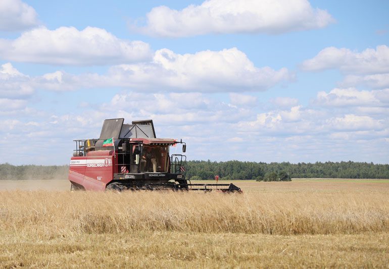 Водитель Виктор Королев из КСУП «Белая Дуброва» стал первым в Костюковичском районе тысячником на отвозке зерна