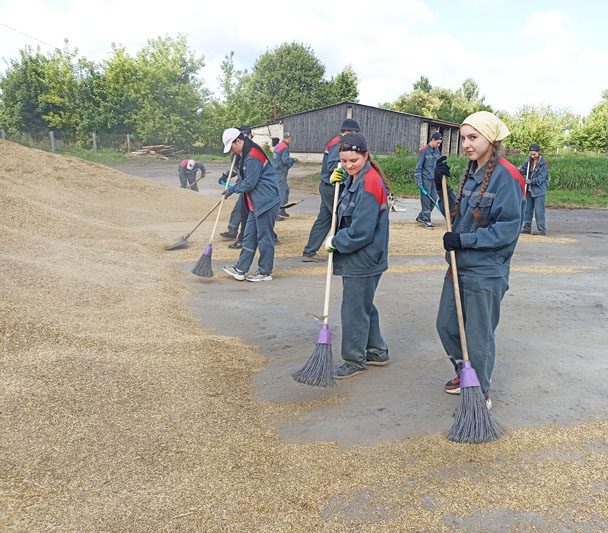 Сенатор Игорь Сергеев поблагодарил участников студенческого отряда за их труд