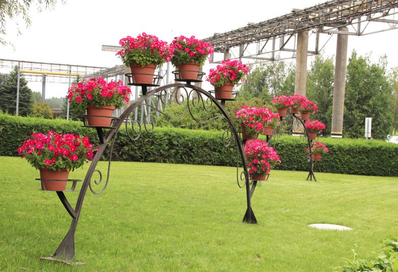 Цветущее предприятие: как на территории БЦЗ заботятся о благоустройстве