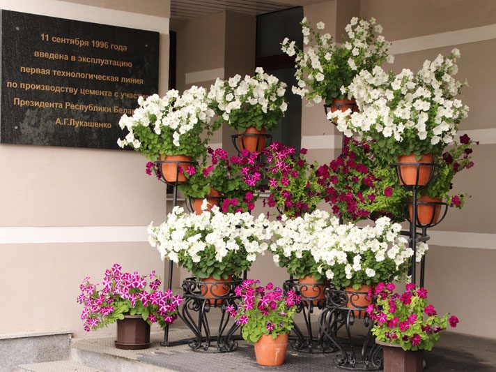 Цветущее предприятие: как на территории БЦЗ заботятся о благоустройстве