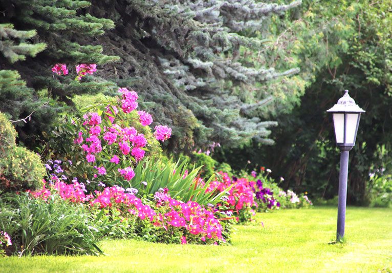 Цветущее предприятие: как на территории БЦЗ заботятся о благоустройстве