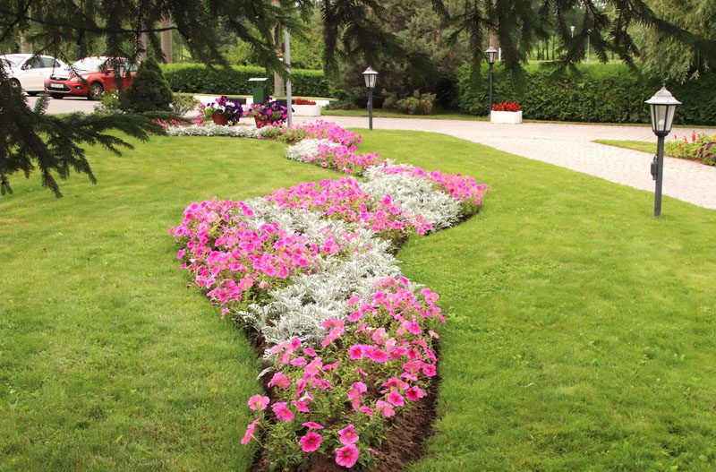 Цветущее предприятие: как на территории БЦЗ заботятся о благоустройстве