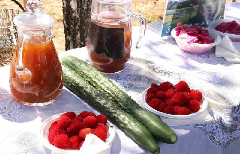 ФОТОФАКТ: неповторимый колорит "Ильинской ярмарки"