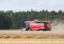 Могилевская область перешагнула рубеж в 1 млн тонн намолота зерна нового урожая