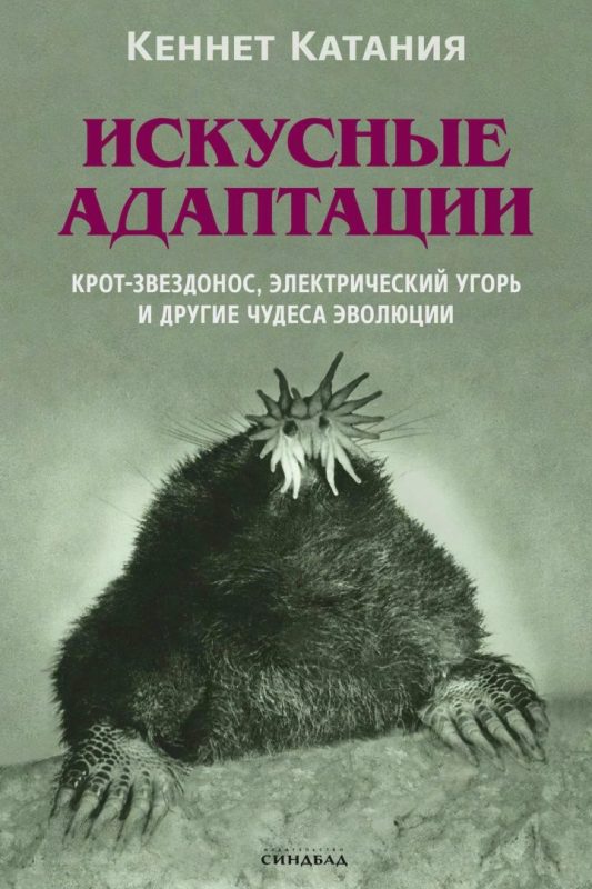 День знаний: МТС подготовил список полезной литературы на год для белорусских школьников и студентов
