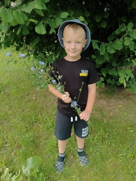 Челлендж "Краски полевых цветов" провели в детском саду №2