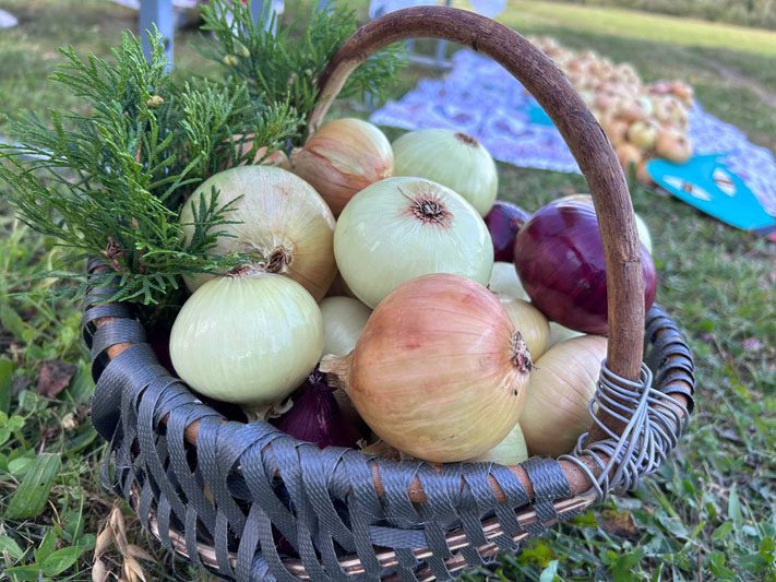 28 августа традиционный "Луков день" отпраздновали в Тупичино
