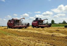 Белорусские аграрии намолотили 7 млн тонн зерна