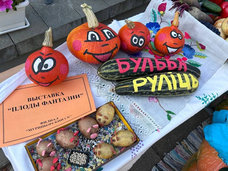 ФОТОФАКТ: Традиционное "Свята бульбы" прошло в деревне Мурин Бор