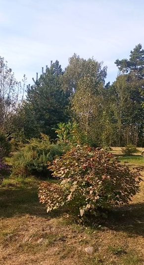 Продолжается благоустройство территории Новосамотевичского сельского совета