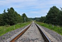 Минтранс определил порядок выпаса животных вблизи ж/д путей