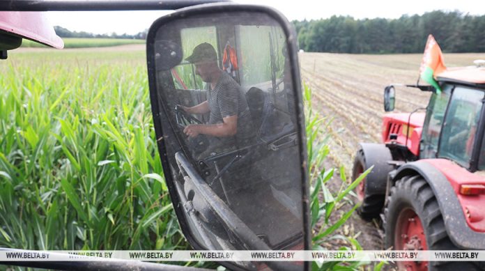 Уборка кукурузы, овощей, осенний сев, заготовка кормов: о ходе полевых работ рассказали в Минсельхозпроде