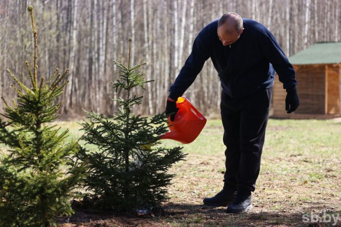 В Беларуси 25 октября состоится республиканский субботник