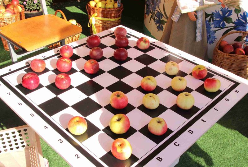 ФОТОФАКТ: Областные "Дожинки-2025" отпраздновали в Кричеве