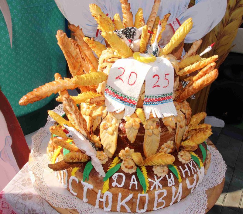 ФОТОФАКТ: Областные "Дожинки-2025" отпраздновали в Кричеве