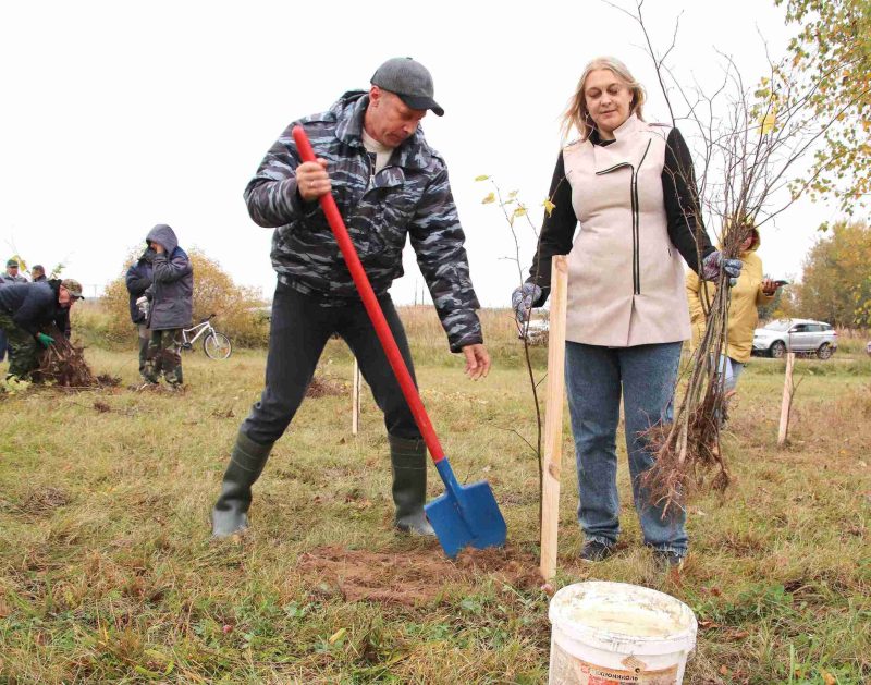 Расти и цвести: Единый день озеленения провели в Костюковичах Расти и цвести: Единый день озеленения провели в Костюковичах