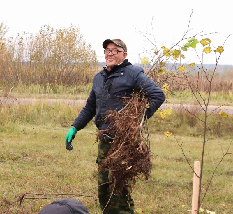 Расти и цвести: Единый день озеленения провели в Костюковичах Расти и цвести: Единый день озеленения провели в Костюковичах