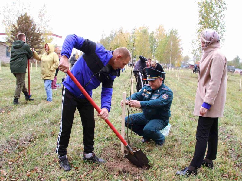Расти и цвести: Единый день озеленения провели в Костюковичах Расти и цвести: Единый день озеленения провели в Костюковичах