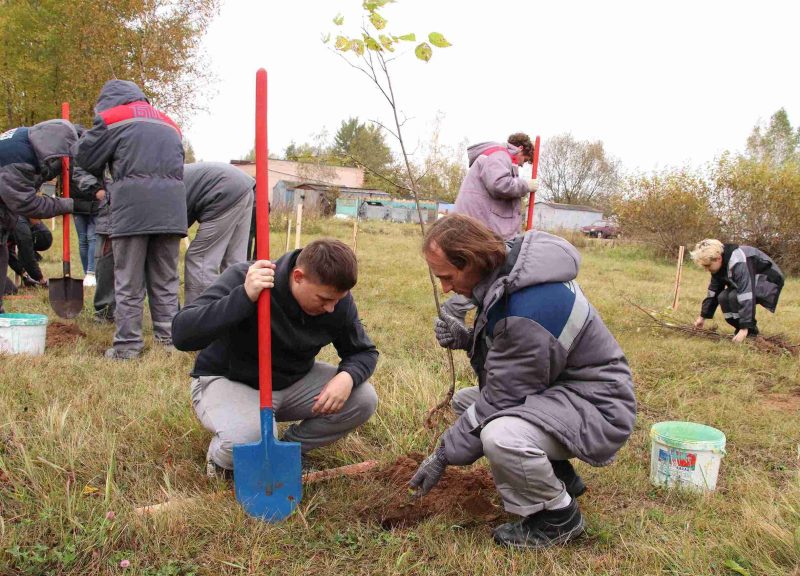 Расти и цвести: Единый день озеленения провели в Костюковичах Расти и цвести: Единый день озеленения провели в Костюковичах