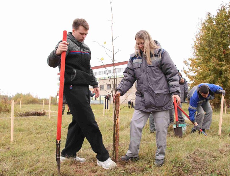 Расти и цвести: Единый день озеленения провели в Костюковичах Расти и цвести: Единый день озеленения провели в Костюковичах