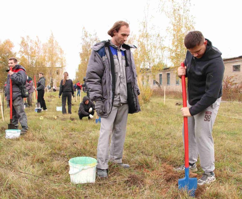 Расти и цвести: Единый день озеленения провели в Костюковичах Расти и цвести: Единый день озеленения провели в Костюковичах