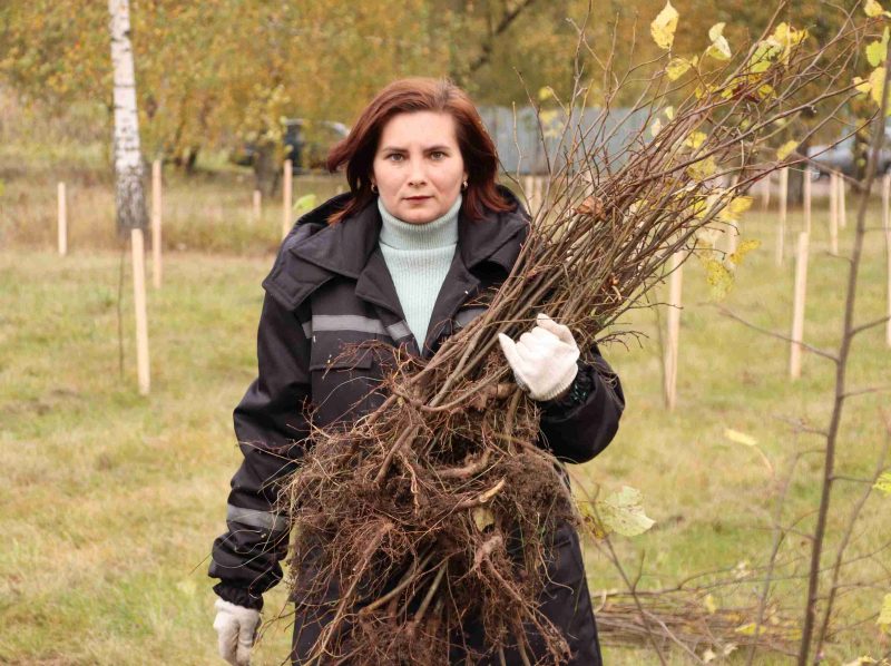 Расти и цвести: Единый день озеленения провели в Костюковичах Расти и цвести: Единый день озеленения провели в Костюковичах