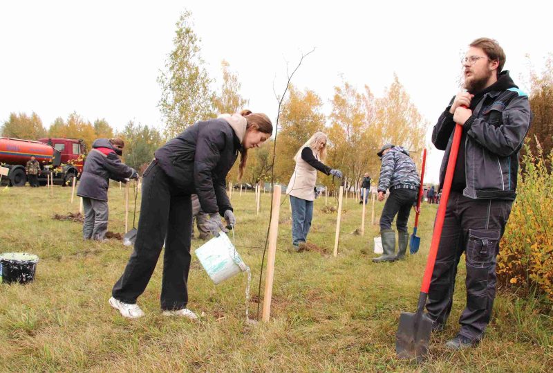 Расти и цвести: Единый день озеленения провели в Костюковичах Расти и цвести: Единый день озеленения провели в Костюковичах