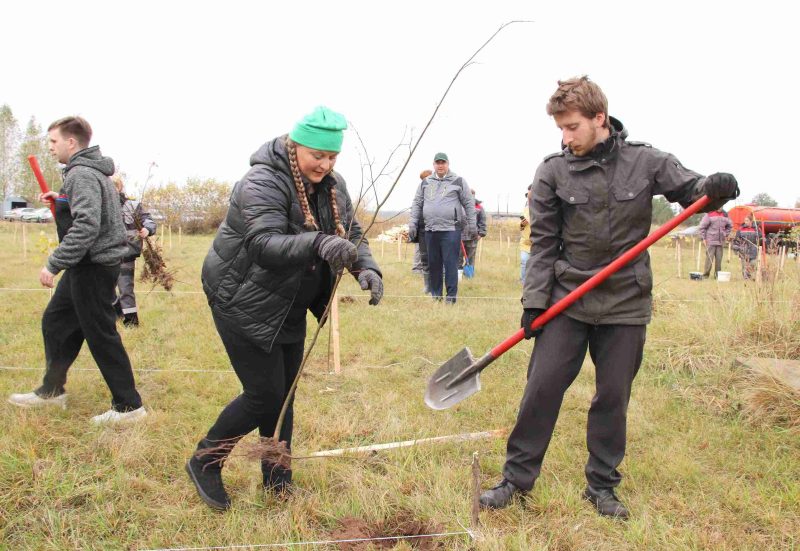 Расти и цвести: Единый день озеленения провели в Костюковичах Расти и цвести: Единый день озеленения провели в Костюковичах