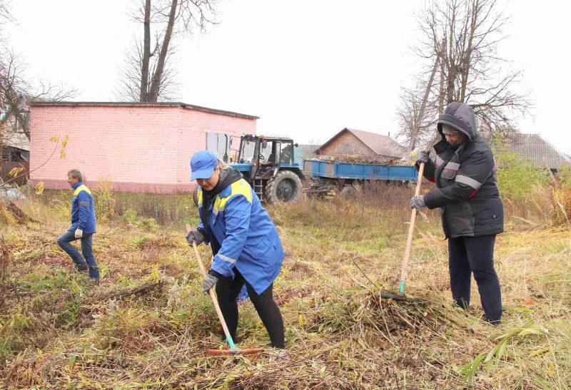 ФОТОФАКТ: В Костюковичах прошел осенний субботник
