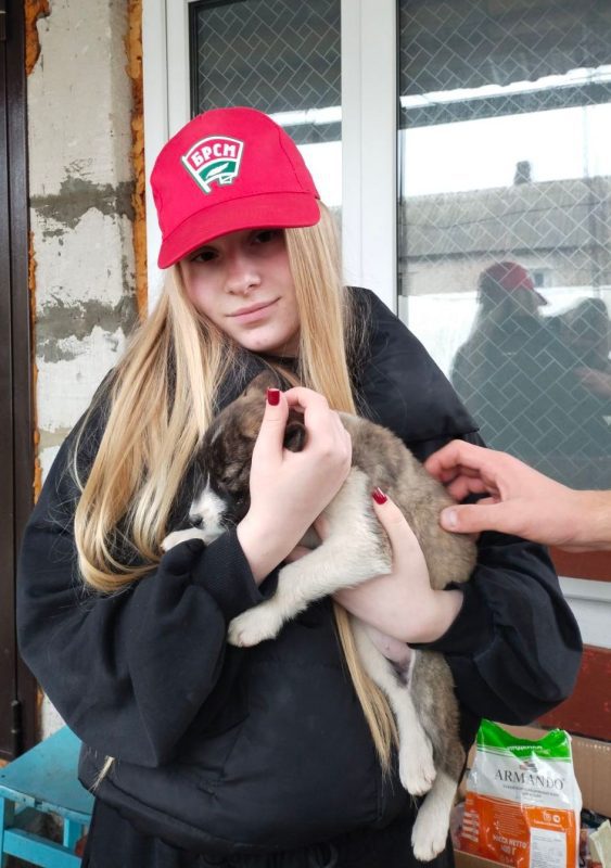 Волонтеры БРСМ в Костюковичах заботятся о бездомных животных