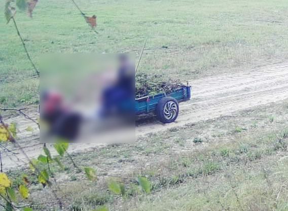 Сор из избы: что грозит костюковчанам за незаконные свалки