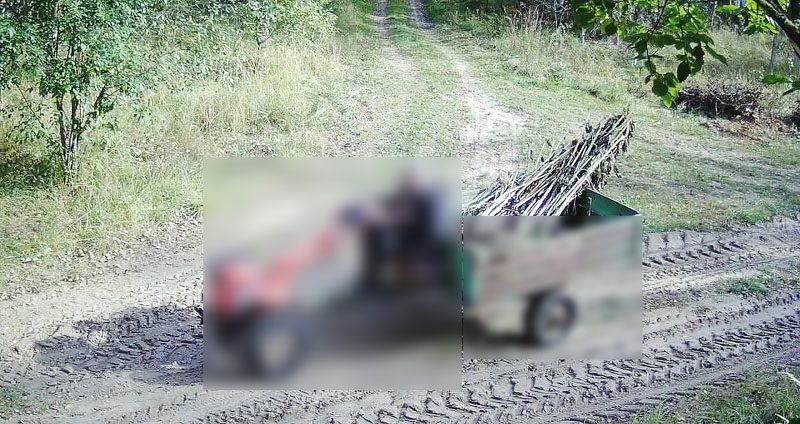 Сор из избы: что грозит костюковчанам за незаконные свалки