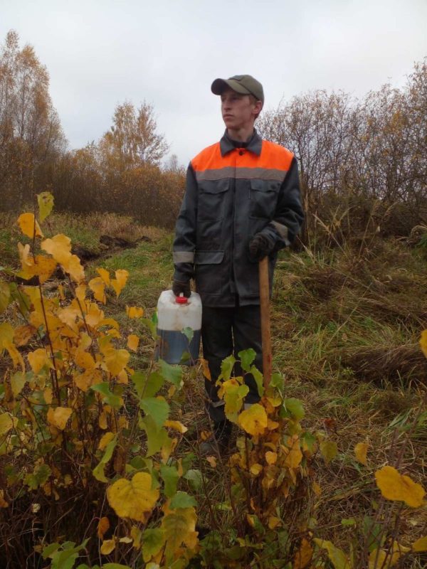 Костюковчане участвуют в акции "Дай лесу новае жыццё!"