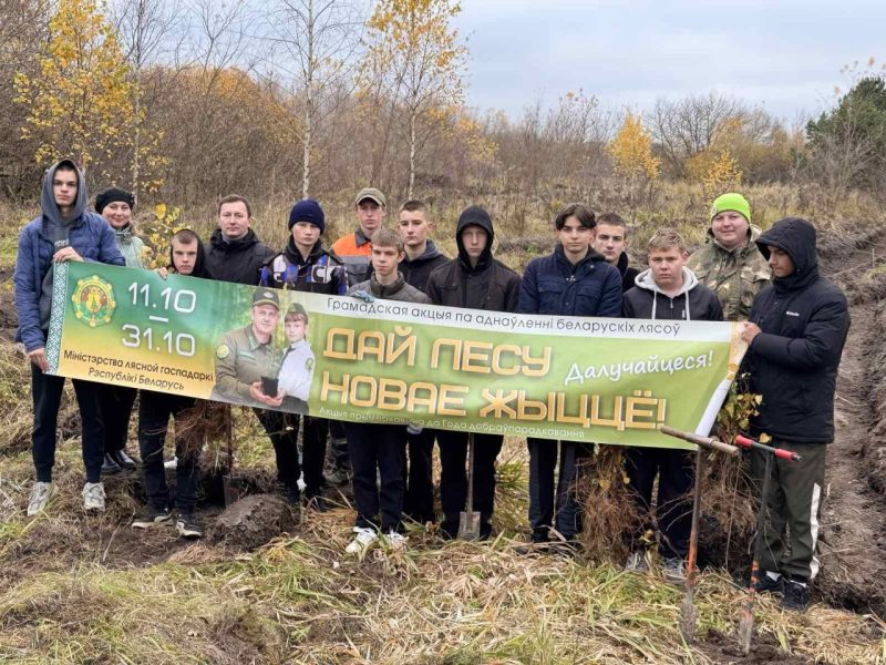 Костюковчане участвуют в акции "Дай лесу новае жыццё!"