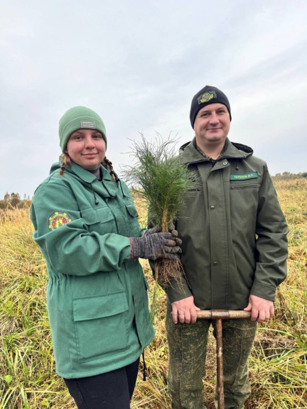 Костюковчане участвуют в акции "Дай лесу новае жыццё!"