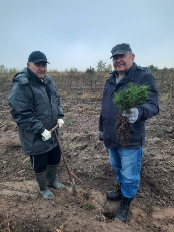 Костюковчане участвуют в акции "Дай лесу новае жыццё!"