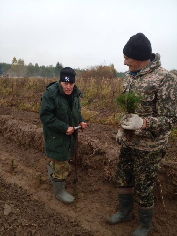 Костюковчане участвуют в акции "Дай лесу новае жыццё!"