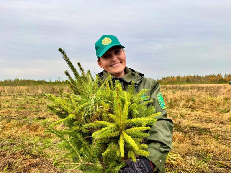 Костюковчане участвуют в акции "Дай лесу новае жыццё!"