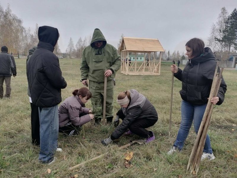 Фотофакт: Инициативу по озеленению территории реализовали в Муравилье