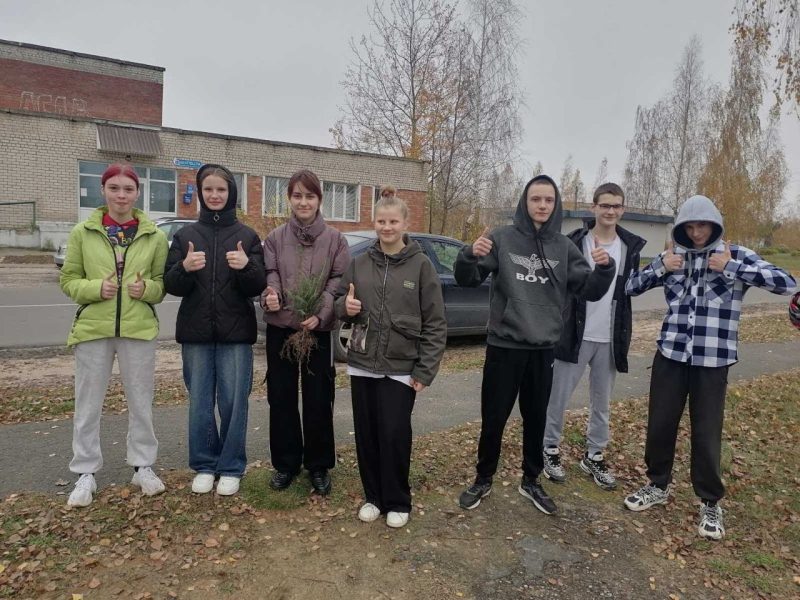 Фотофакт: Инициативу по озеленению территории реализовали в Муравилье