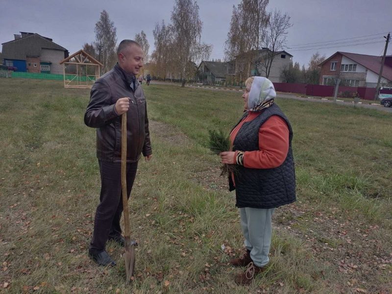 Фотофакт: Инициативу по озеленению территории реализовали в Муравилье