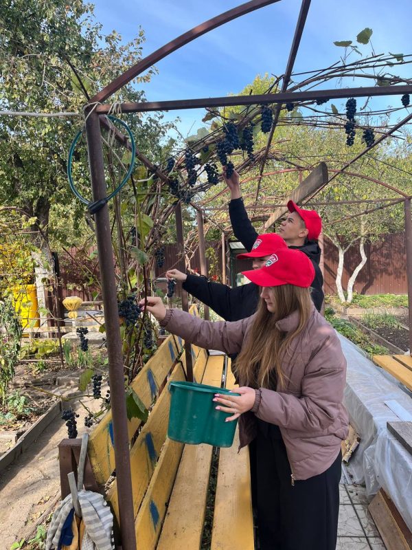 Активисты БРСМ поздравили ветеранов педагогического труда с Днем пожилых людей Активисты БРСМ поздравили ветеранов педагогического труда с Днем пожилых людей