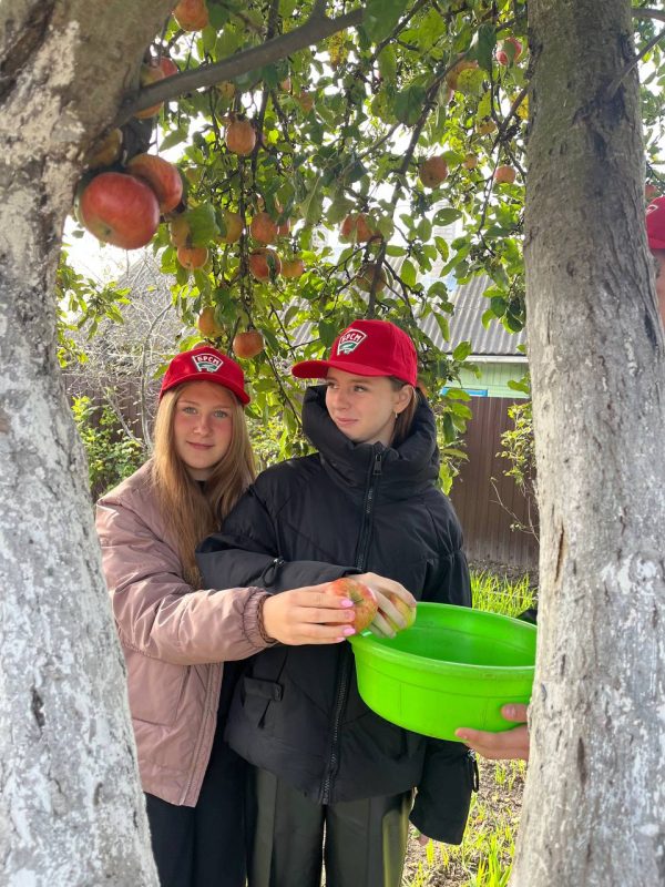 Активисты БРСМ поздравили ветеранов педагогического труда с Днем пожилых людей Активисты БРСМ поздравили ветеранов педагогического труда с Днем пожилых людей