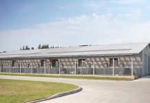 Как делают колбасу из козлятины, которую оценил Лукашенко? Раскрываем секреты технологического процесса