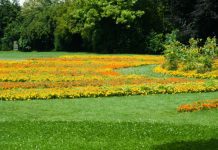 Более 1 млн граждан и юрлиц приняли участие в мероприятиях по благоустройству в Беларуси с начала года