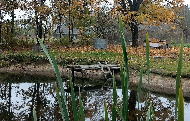 Обычный человек создал необычный музей в Костюковичском районе Обычный человек создал необычный музей в Костюковичском районе