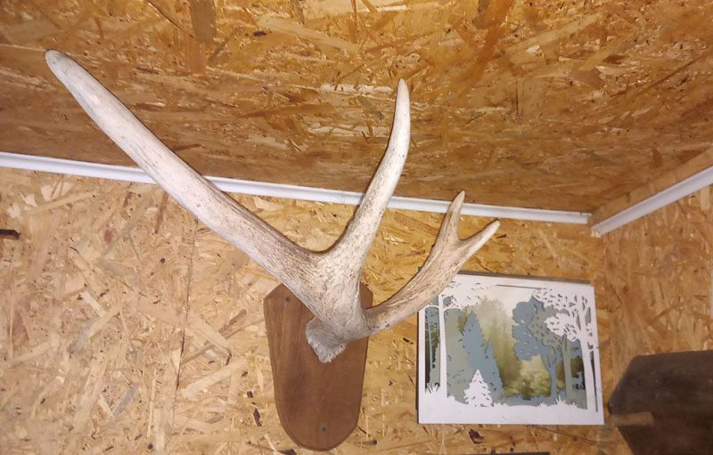 Обычный человек создал необычный музей в Костюковичском районе Обычный человек создал необычный музей в Костюковичском районе